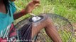 Wow! Amazing Smart Little Girl Catch Big Snakes Using Fan Guard Trap - How To Catch Snake