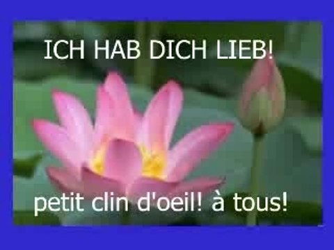 Ich hab dich LIEB