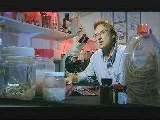 NATURE | The Beauty of Ugly | Preview | PBS