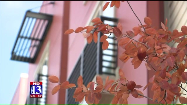 Father, Toddler Injured After Accidental Shooting at Party