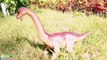 Dinosaurs Walking Tyrannosaurus T Rex! Dinosaurs Toys for Kids Walking and Battle Brachiosaurus eggs