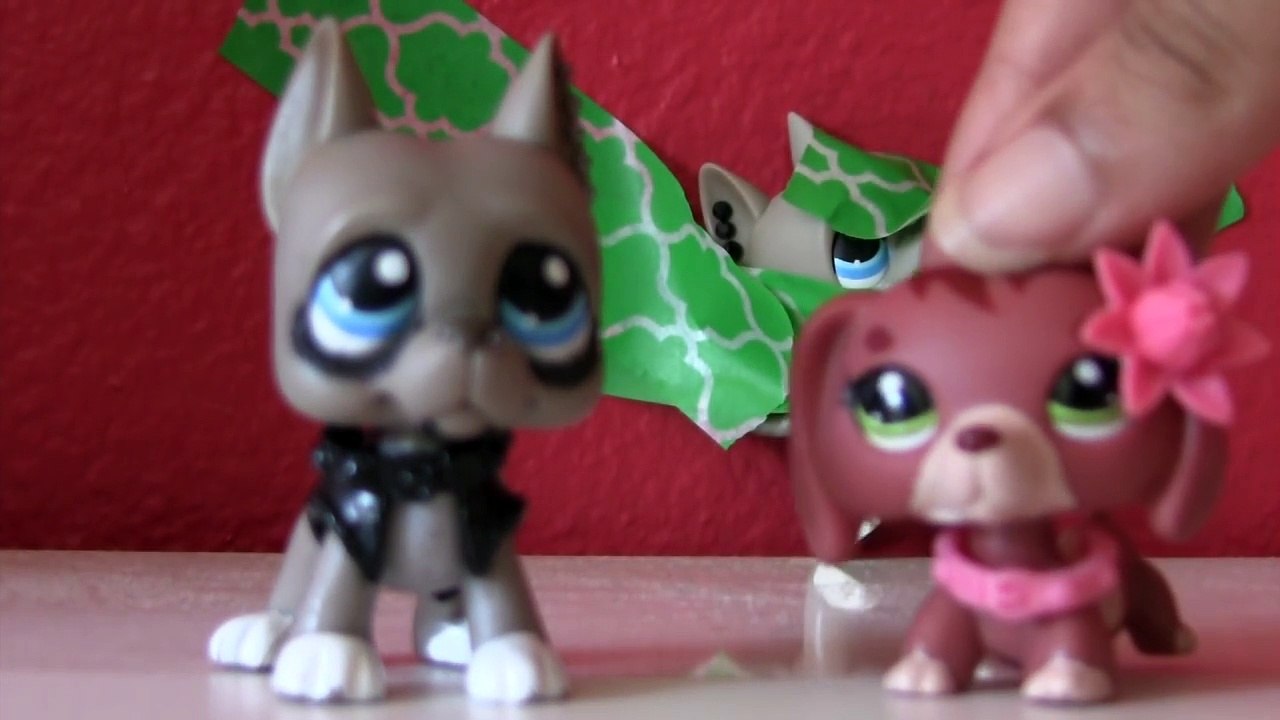 LPS: Dares #4!