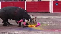 Meksika'da Boğa Güreşinde Ağır Yaralanan Matador, Arenaya Dönüp Boğayı Öldürdü