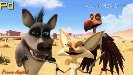 Finding Water, Desert water, Importance of water