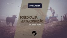 TOURO CAUSA MUITA CONFUSÃO