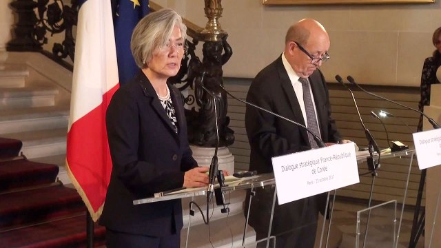 한불 외교장관 강한 대북 제재로 대화 유도 / YTN