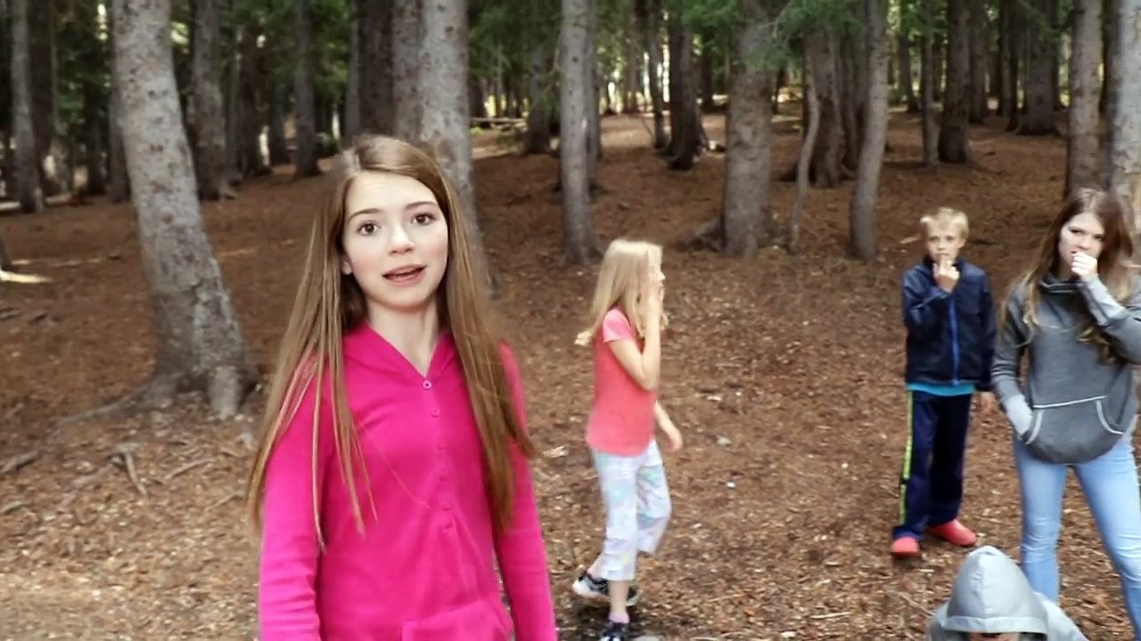 Hide and Seek In The Woods