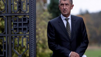 Çek Cumhuriyeti'nde seçimlerin galibi Babiş cumhurbaşkanıyla görüştü