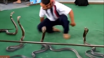 Si ça n'avait pas été filmé vous ne l'auriez pas cru... Compilation de moments INCROYABLE