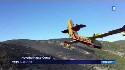 Corse : 4 600 hectares partis en fumée