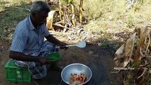 Cooking Goat Brain Fry in My Village - My Village Food