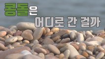 [자막뉴스] 사라지는 자연 유산...백령도 콩돌 해변 / YTN