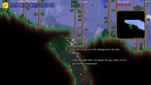 Super Terraria World! Mod Pack | Modded Terraria 1.3 Adventure Map!