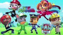 PAW PATROL Pig Transforms Into PJ MASKS Gekko, Catboy, Owlette | Coloring Videos For Kids
