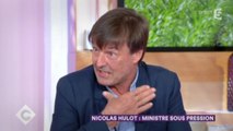 [Zap Actu] Glyphosate : Nicolas Hulot propose un renouvellement limité à trois ans (24/10/2017)