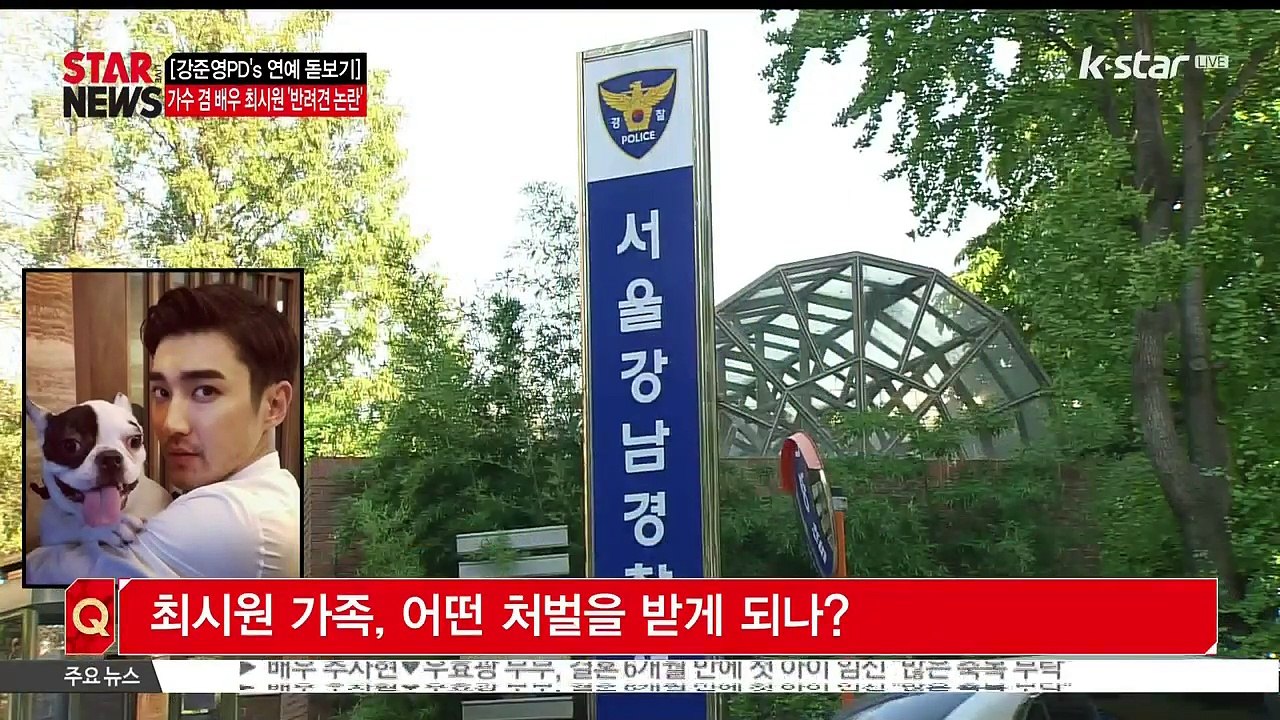 [KSTAR 생방송 스타뉴스][강준영PD's 연예 돋보기] 최시원 '프렌치 불독 사건...