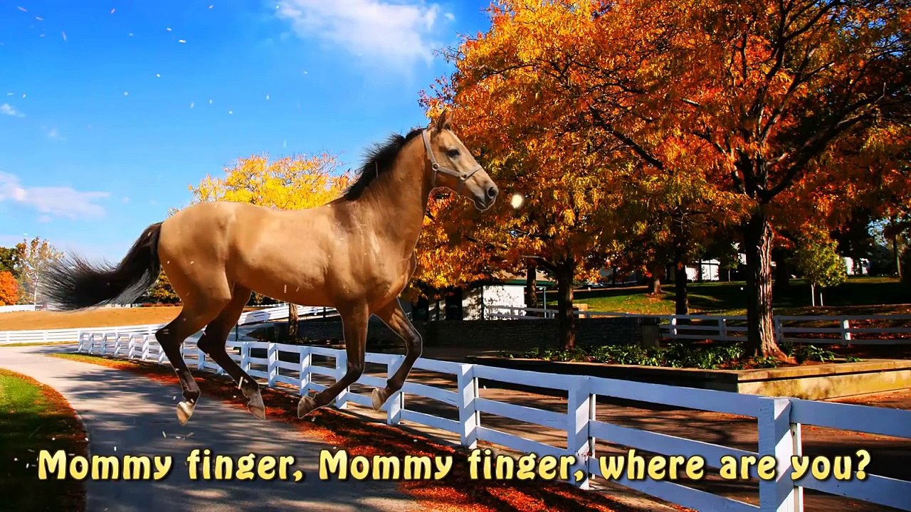Farm Animals Finger Family Rhymes | Cow Horse C...