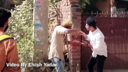 DESI KI DOSTI SABPE BHARI - | Elvish Yadav |