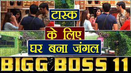 Bigg Boss 11: Luxury Budget task to divide house in 2 teams; Here are details | FilmiBeat