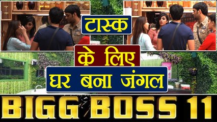 Download Video: Bigg Boss 11: Luxury Budget task to divide house in 2 teams; Here are details | FilmiBeat