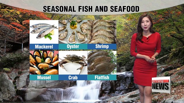 Cool early, sunny, mild afternoon for some parts _ 102417