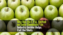 Why Has the E.P.A. Shifted on Toxic Chemicals? An Industry Insider Helps Call the Shots