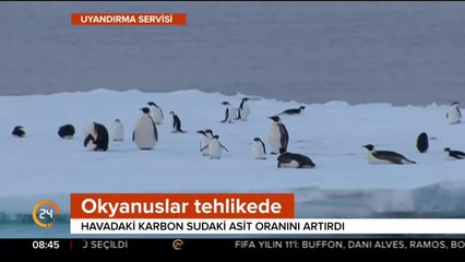 250 bilim insanı çalışma yaptı