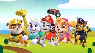 nursery rhymes collection | finger family collection | Minion finger | Paw patrol finger | Dinosaur
