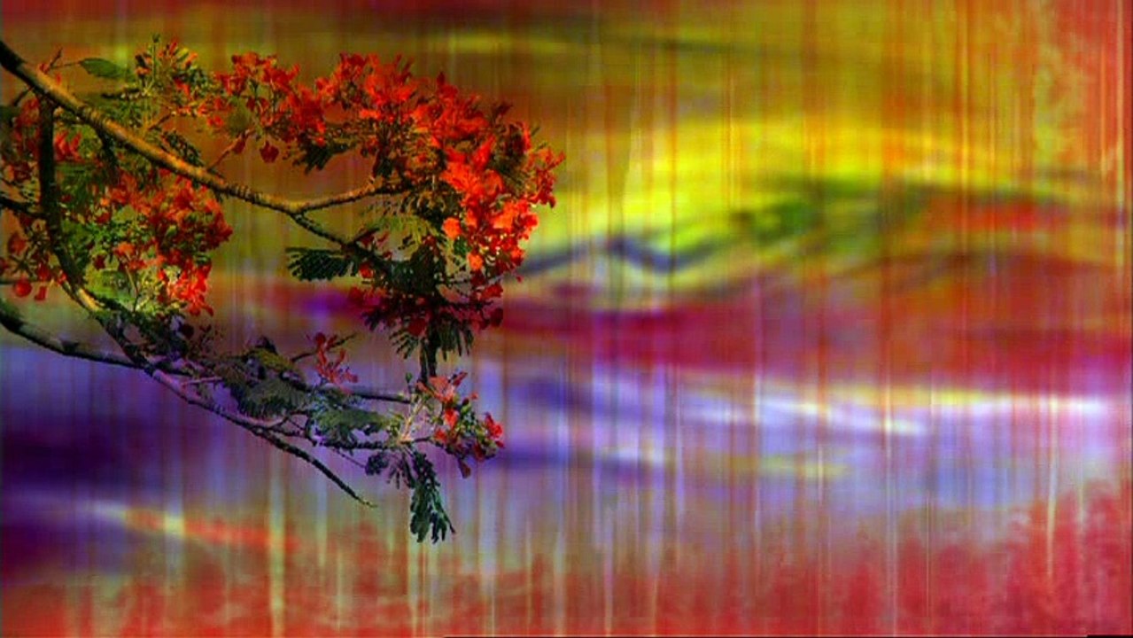 Nỗi Buồn Hoa Phượng, Lưu Bút Ngày xanh - Hương Lan, Hoàng Oanh, Như Quỳnh