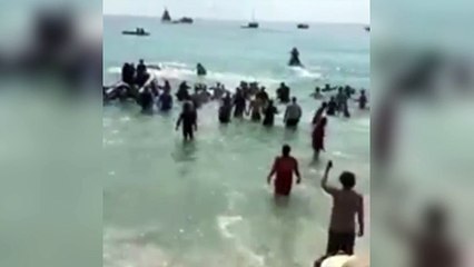 Ils sauvent une baleine échouée !