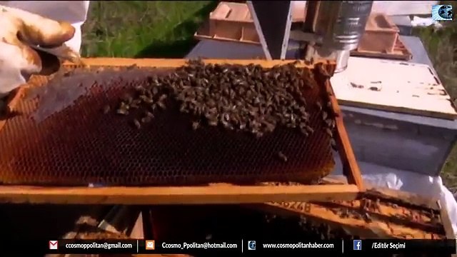 5 DAKİKADA TWİTTER GÜNDEMİ 14 03 2017