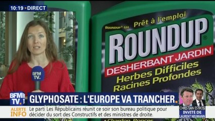 Glyphosate : parlement européen, comité d'experts, Etats membres... qui décide de quoi ?