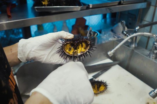 If You Combine The Best of Italian Cuisine With Fresh Japanese Seafood, You Will Get This Restaurant