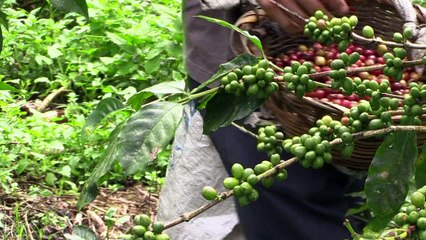 Nicaragua firma acuerdo de París sobre cambio climático