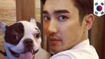 Anjing milik Siwon menggigit wanita tua hingga meninggal - TomoNews
