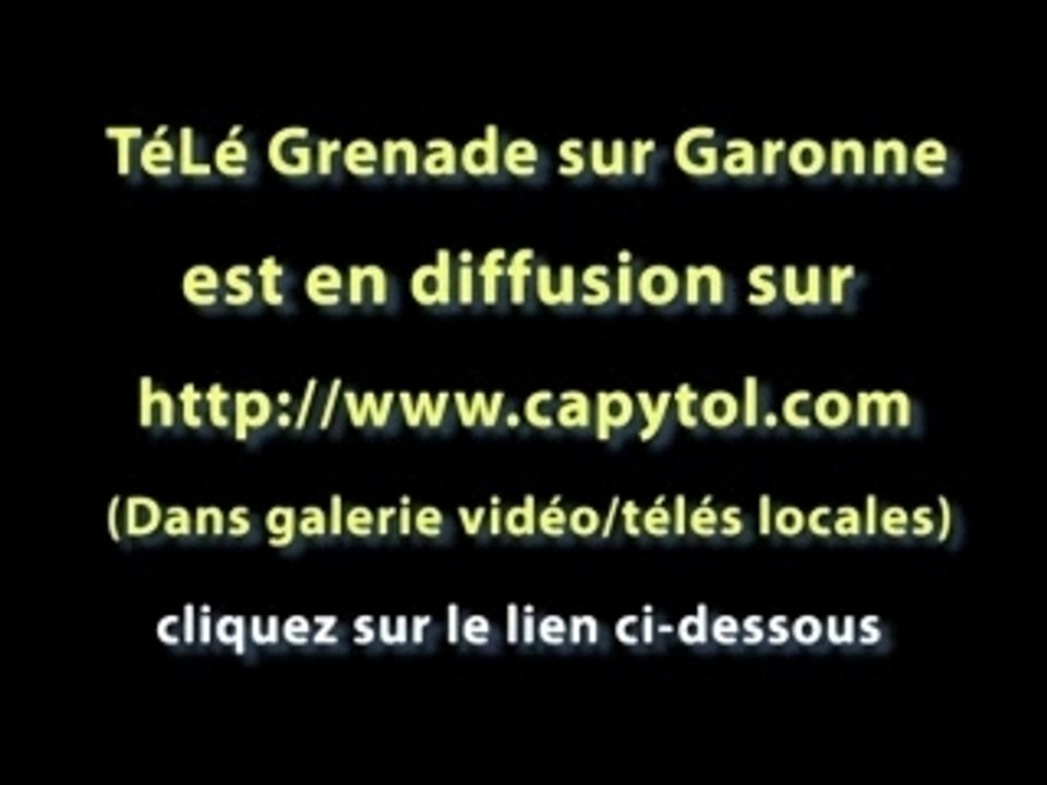 Télé Grenade sur Garonne