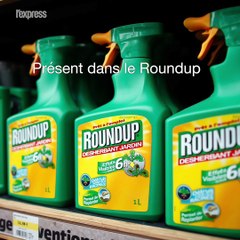 Stop ou encore... L'avenir du glyphosate en Europe fait débat