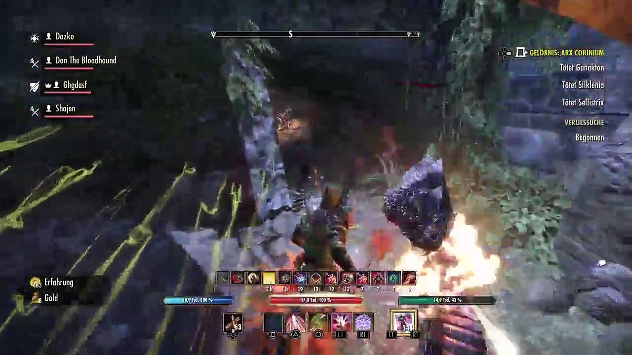 DonAleszandro The Elder Scrolls «-Durch das Arx Corinium mit dem Bluthund-» (155)