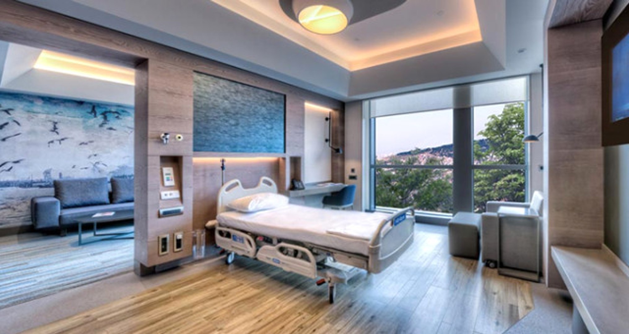 5 Yıldızlı Otel Değil Hastane! Acıbadem Hastanesinde Kral Suiti Bile Var -  Dailymotion Video