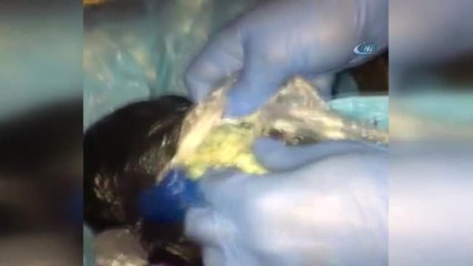 Mersin'de 117 Bin 200 Adet Uyuşturucu Hap Ele Geçirildi