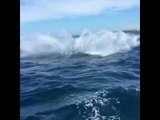 Humpback Breaches Really Made a Woman's Birthday Whale Watching Trip