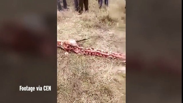 Misterioso scheletro di drago lungo 18 metri trovato in un villaggio cinese