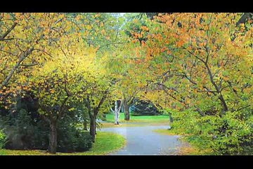 Charte exporter Formaggiera catamaran Côte prix Export San importation Îles