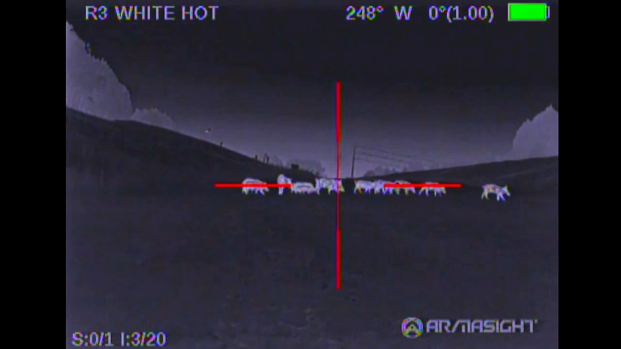 60 Hogs Down | Feral Hog Eradication with the Armasight Zeus Pro 640 50mm