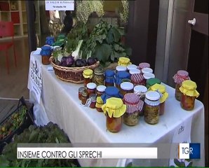 ACLI Roma - Verde speranza al Parco Merolli (TGR)