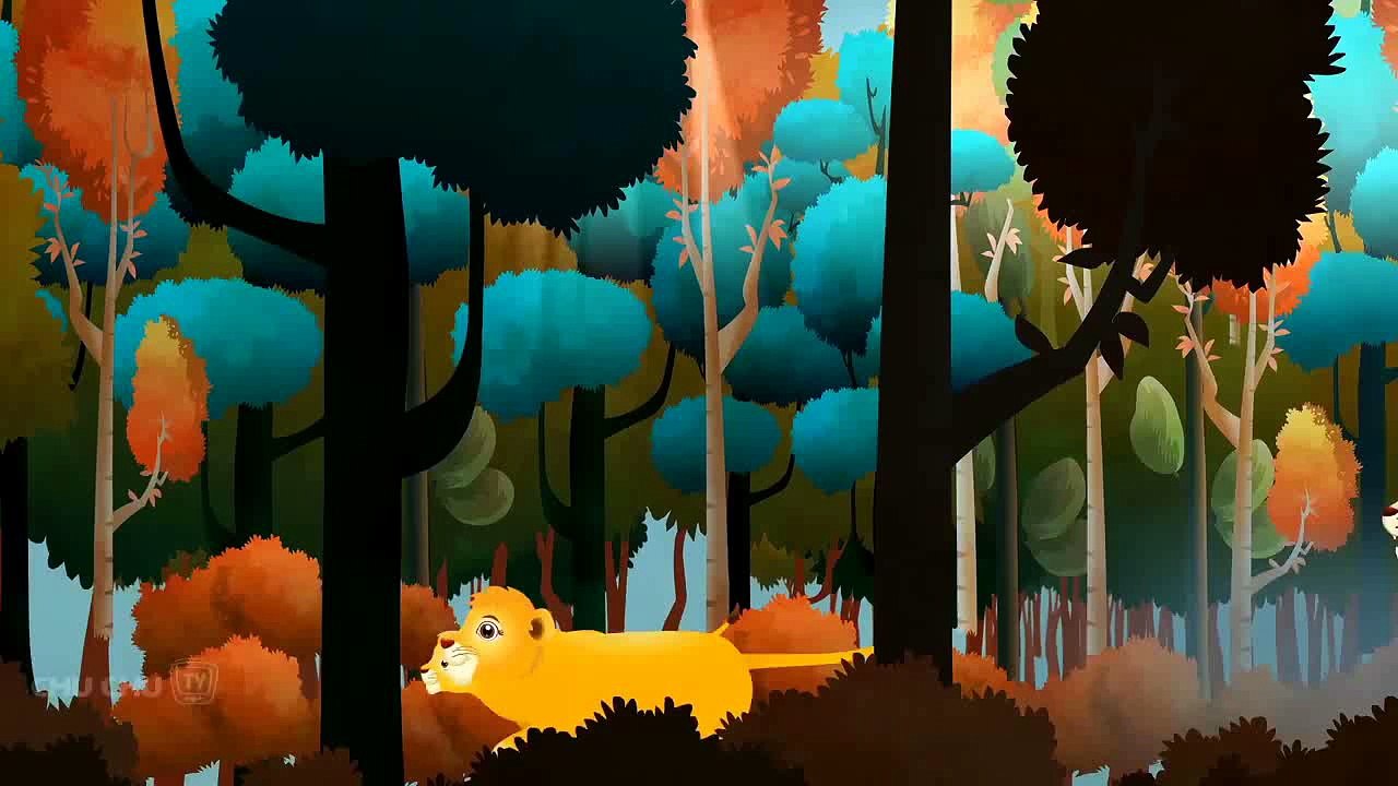 Tiger Forest| Soonmain | Video Kid