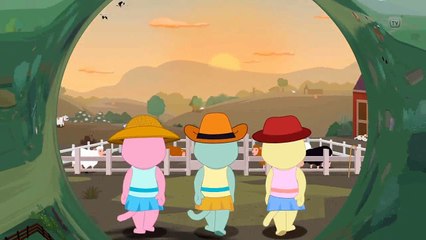 Three Cat Wacht Sunset| Soonmain | Video Kid