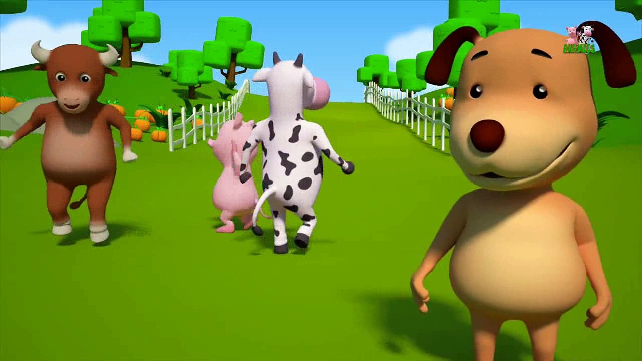 Animals Playing | Soonmain | Video Kid