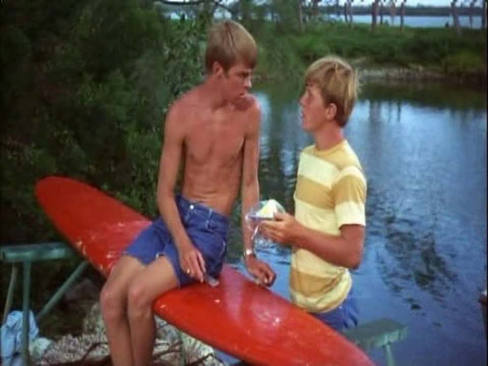 Flipper 1964 S03e10 Executive Bud video Dailymotion