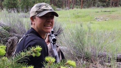 cri de puma enregistré par des chasseurs